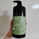 care mate | 탈모 샴푸 추천 바디브 미오 마테 루트 샴푸 두피 건조 각질 탈모 샴푸 찐 사용 후기