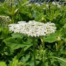 대영동물병원 이미지