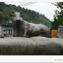 봉계