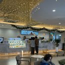 광안숲 | [부산|광안리] 광안대교 오션뷰 카페, 리코리카 내돈내산 후기