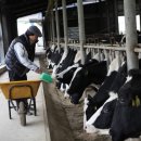 대산목장 이미지