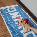 야옹아 멍멍해봐 계림점 이미지