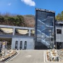 풍미당베이커리 | 라운드아파트 옥천카페 옥천분좋카 옥천베이커리 옥천빵집 옥천대형카페 내돈내산후기 간편리뷰 솔직후기