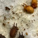 조종로50번길 이미지