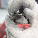 서산모터스 이미지