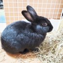 정희축산 이미지