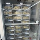 장안사손칼국수 이미지