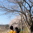 경안천 운학동 이미지