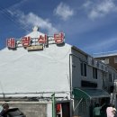 한치식당 | 제주공항 근처 찐맛집 ‘태광식당’ 한치주물럭 후기 (+메뉴, 웨이팅)