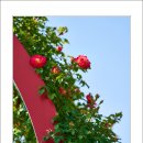 호수공원14로 이미지