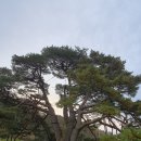 속리산둘레길 15구간(상현리반송-임곡리마을회관) 구간 반송 이미지