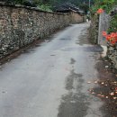 알품는 마을