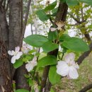 매암산 등산로 이미지