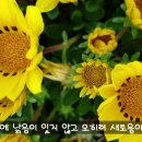 장성 황룡강 축제 이미지