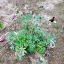 일동농장 이미지