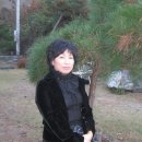 산마루풍경 Daum카페