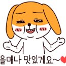 햇살머믄꼬마깁밥