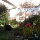 두암2동작은도서관 이미지