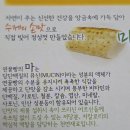 도림사[남] 네이버블로그