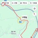 나타샤