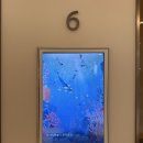 6개월 아기 광교갤러리아 문화센터 여름학기 정서애착놀이 유아공감 후기
