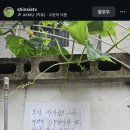 건강하고 긴 삶