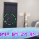 매직터치옥수