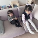몽키트리스튜디오 | 26년 3월도 어느덧 끝!