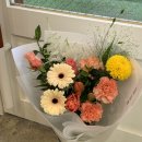 더피우리 이미지