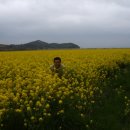 도천동새마을금고 이미지