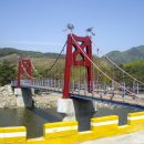 고향에봄 이미지