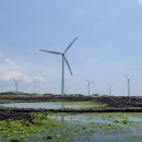 신창싱계물 이미지