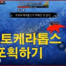 프로토케라톱스 이미지