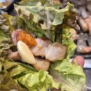 육갑선생 이미지