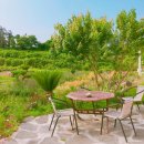 vivere 906 이미지