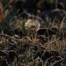 몰입과 진로 이미지