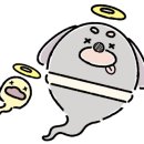 스고이오뎅 이미지