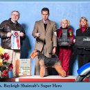 AKC's Weekly Wins Gallery - March 3, 2010 이미지