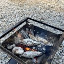 타이어캠프 | 스노우피크 캠핑장 캠프필드 오토캠핑4 두번째 방문 후기