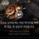 견과 하루 이미지