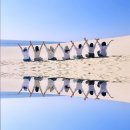 추억가득 나트랑 잊지못할 시간들. 이미지