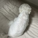 물미 농장 이미지