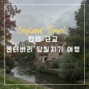 지티가든