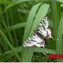 낙동강관리본부-1 이미지