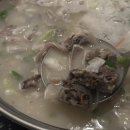 중앙촌길 | 아기랑 강원도 여행 | 속초 키즈풀빌라 비클래시 내돈내산 후기