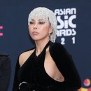 가비조아 이미지