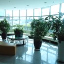 실버 컴퓨터(초급반) 이미지