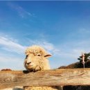 초원염소농장 이미지