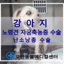 모란동물병원 이미지