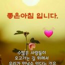 11월13일 금요일 간추린 뉴스 이미지